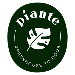 Piante Plants